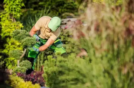 Gartenarbeiten & Gartenpflege